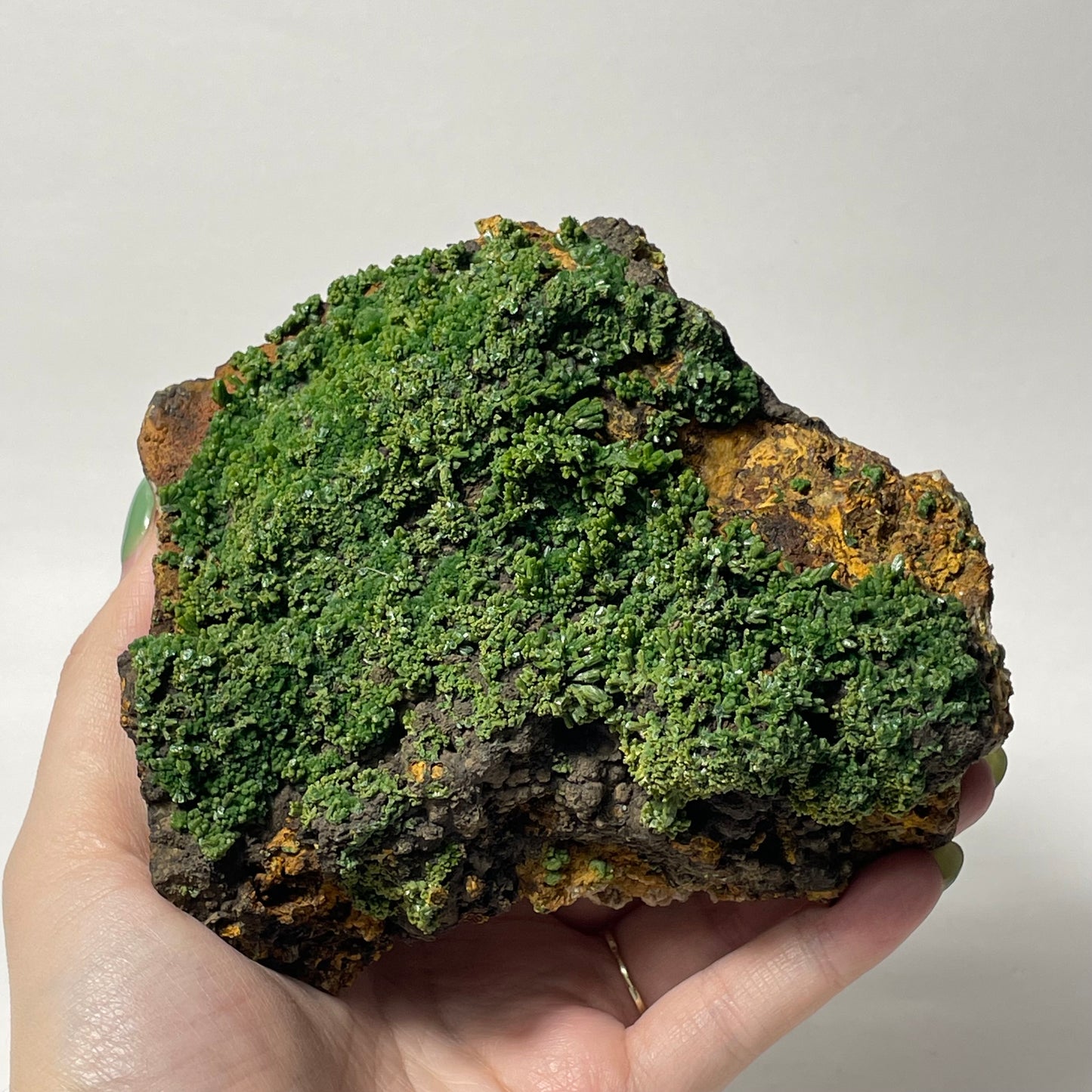 Pyromorphite Specimen from Les Farges, France: You Choose