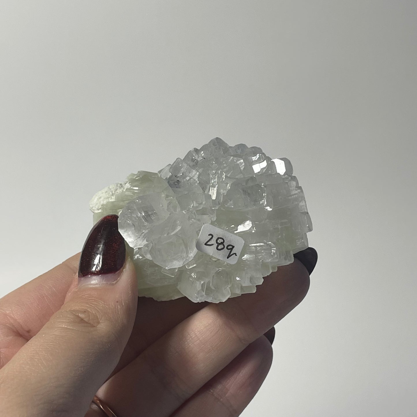 Icy Apophyllite Specimen from India: You Choose
