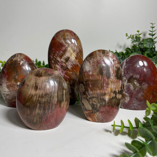 Petrified Wood Freeform: You Choose