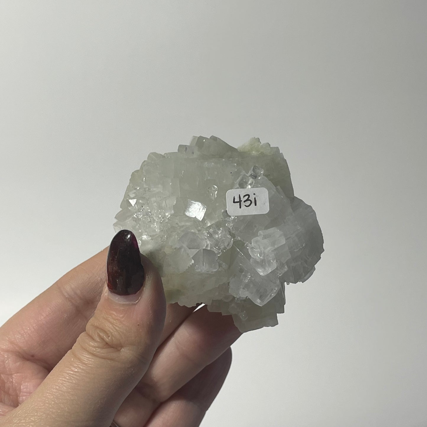 Icy Apophyllite Specimen from India: You Choose
