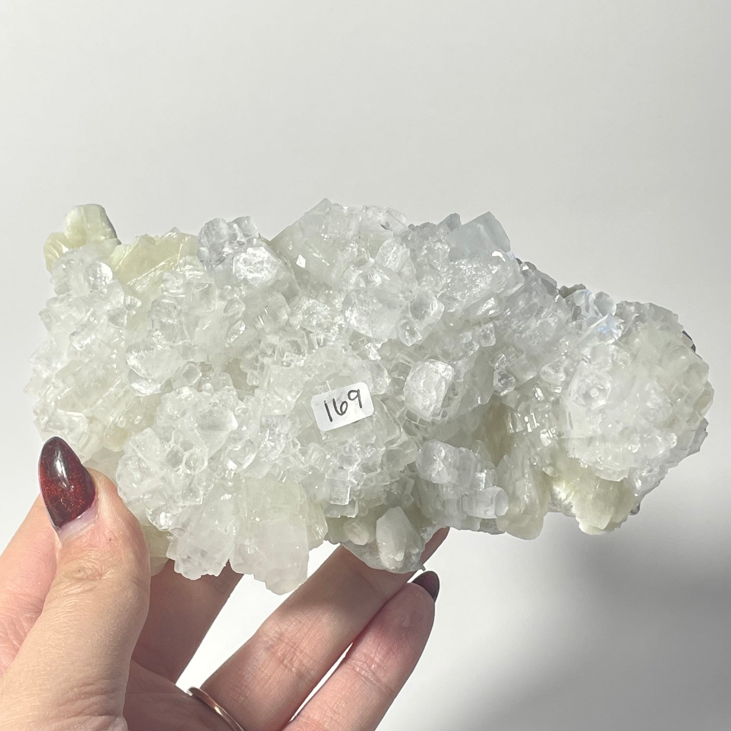 Icy Apophyllite Specimen from India: You Choose