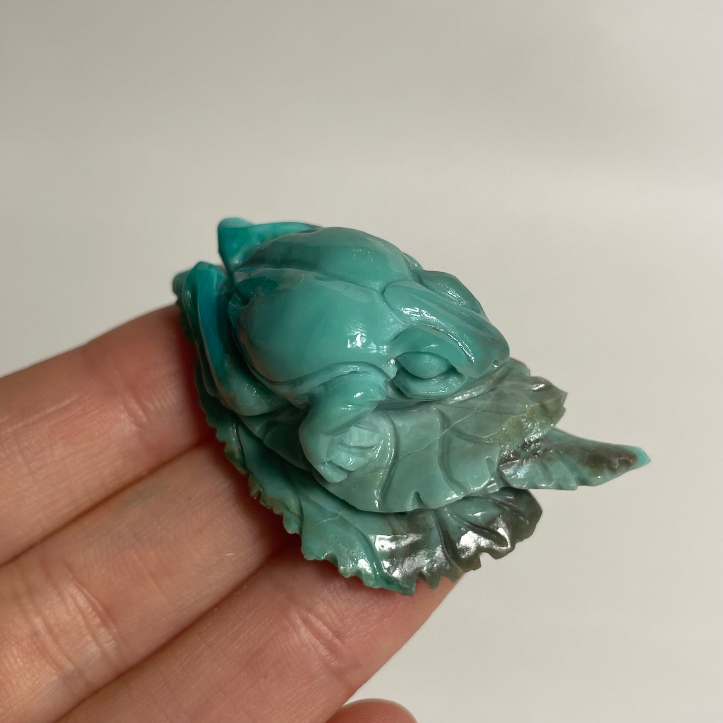 Gem Silica Frog Carving