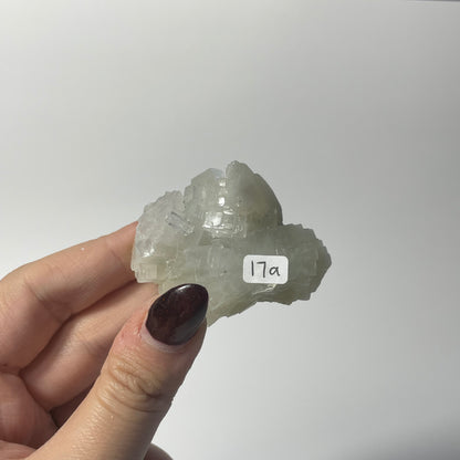 Icy Apophyllite Specimen from India: You Choose