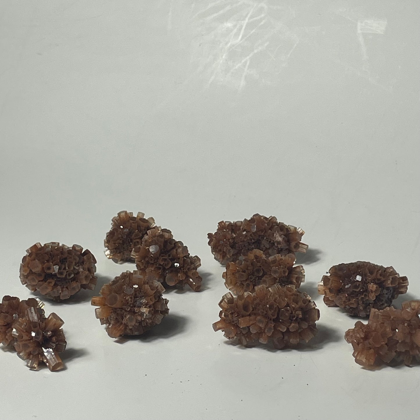 Star Aragonite Specimen from Morocco: Intuitive Pick