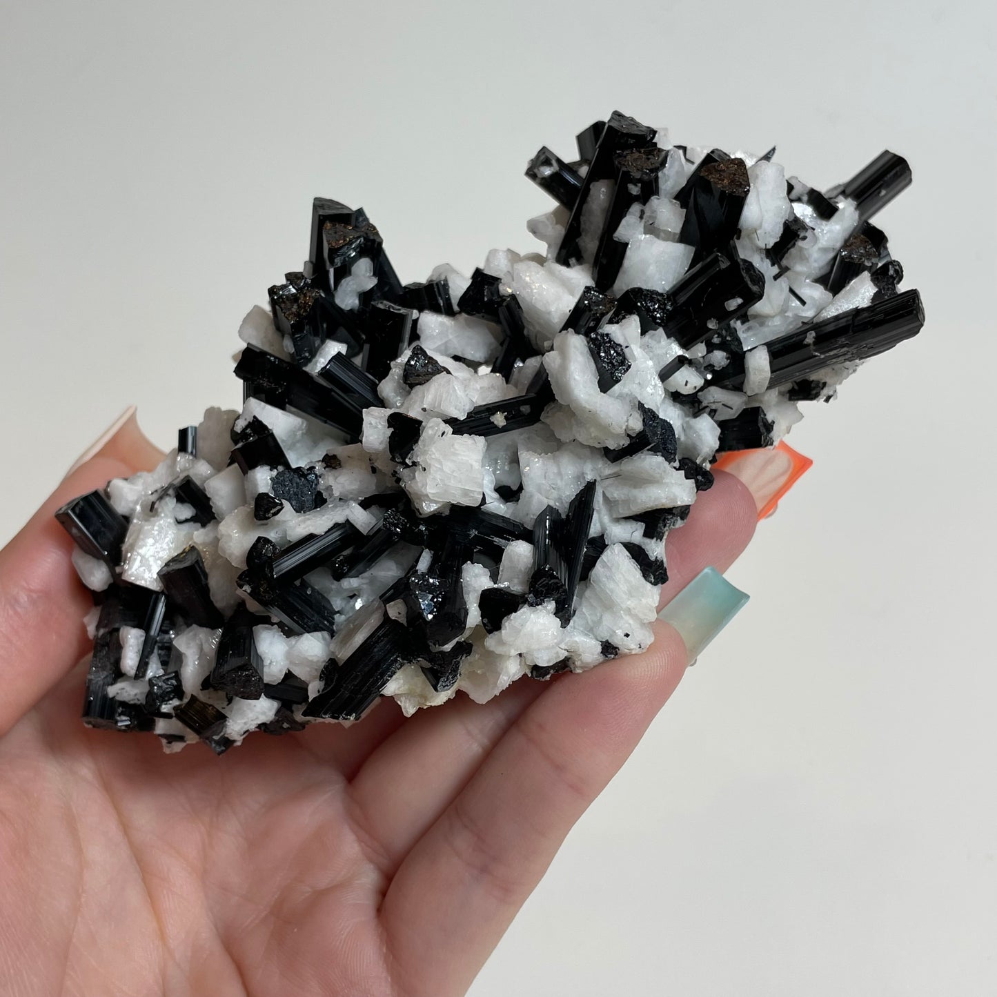 Schorl on Feldspar Specimen from Skardu, Pakistan: You Choose