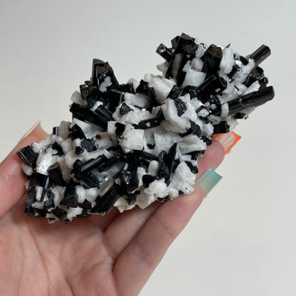Schorl on Feldspar Specimen from Skardu, Pakistan: You Choose