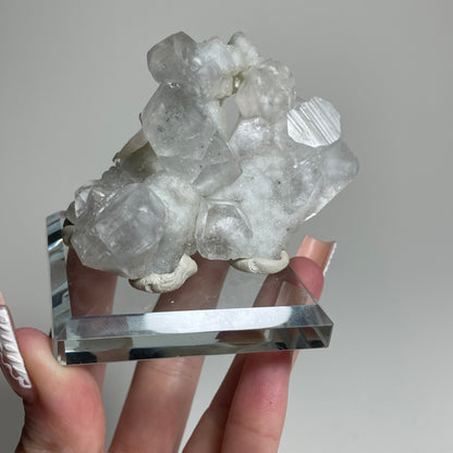 Apophyllite on White Chalcedony Specimen from India: You Choose