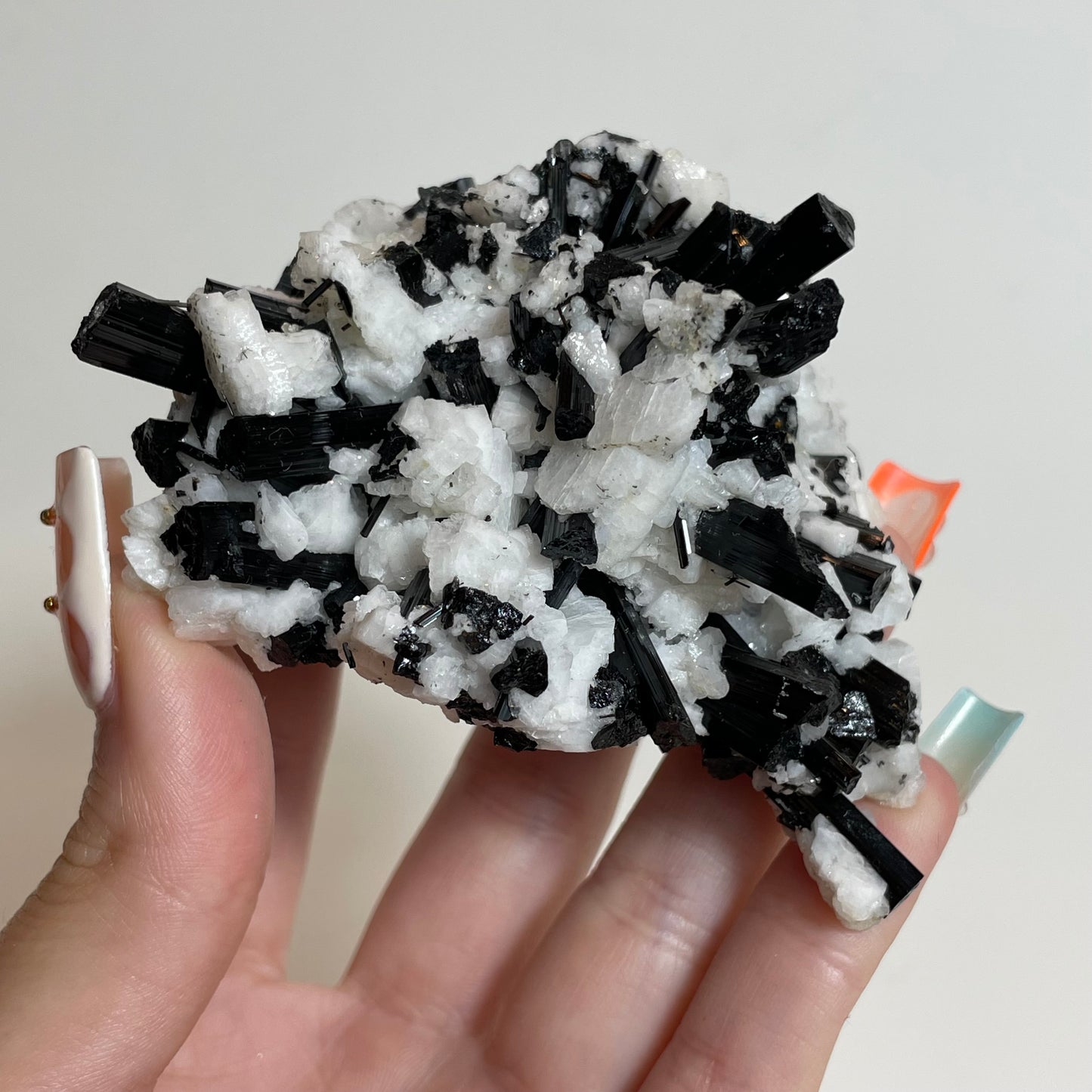 Schorl on Feldspar Specimen from Skardu, Pakistan: You Choose