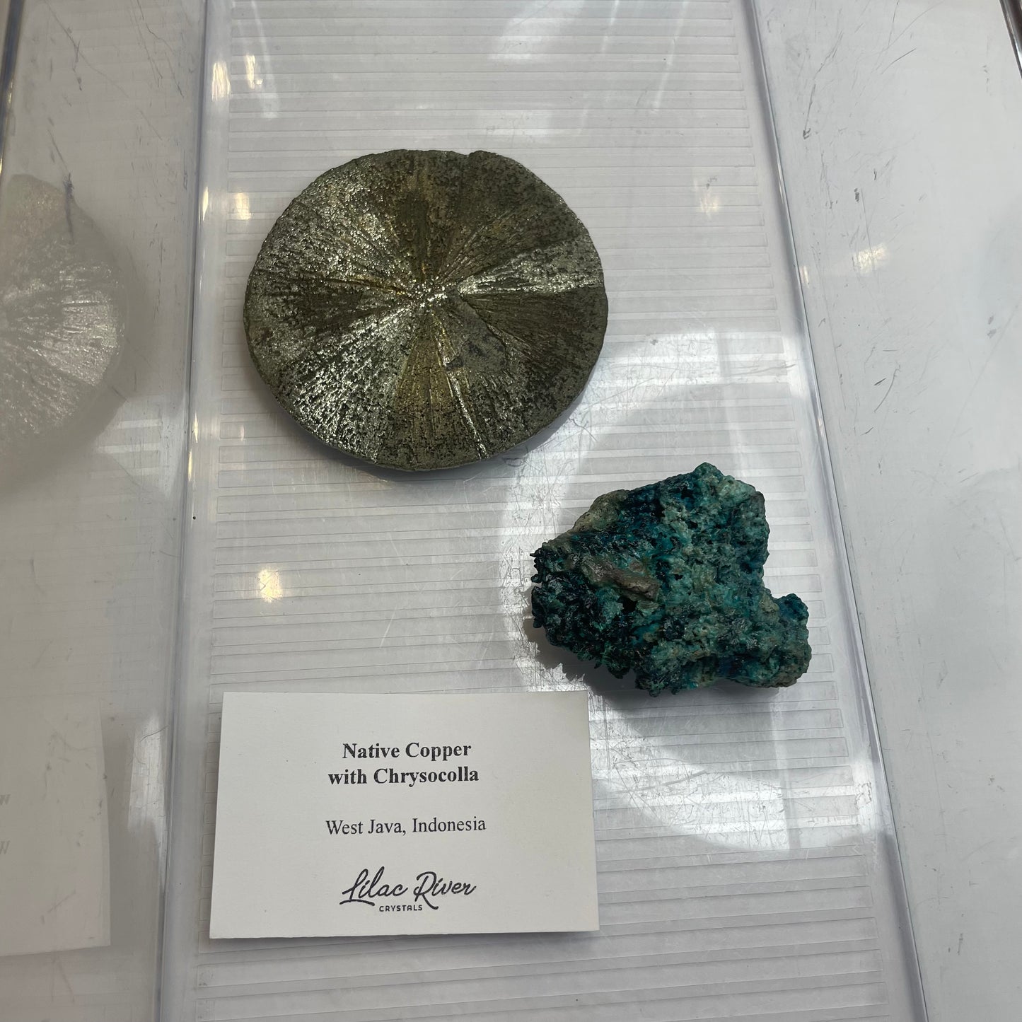 ✺ kateydiamond