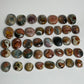 Polychrome Jasper Palm Stone: You Choose