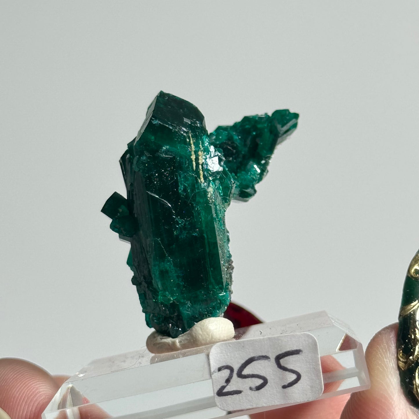 Dioptase Specimen from Mindouli, DRC: You Choose