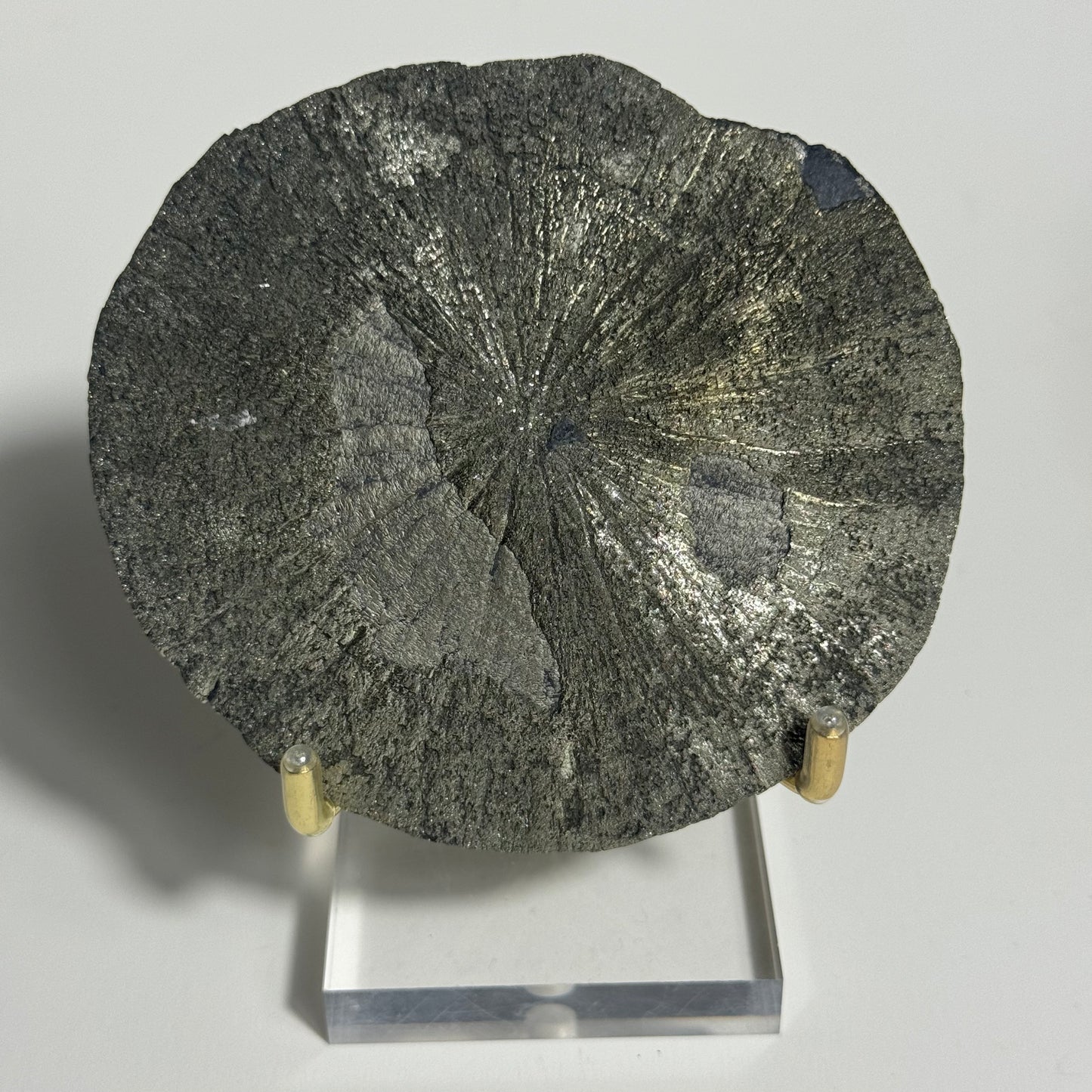 Pyrite Sun Specimen from Sparta, Illinois: You Choose