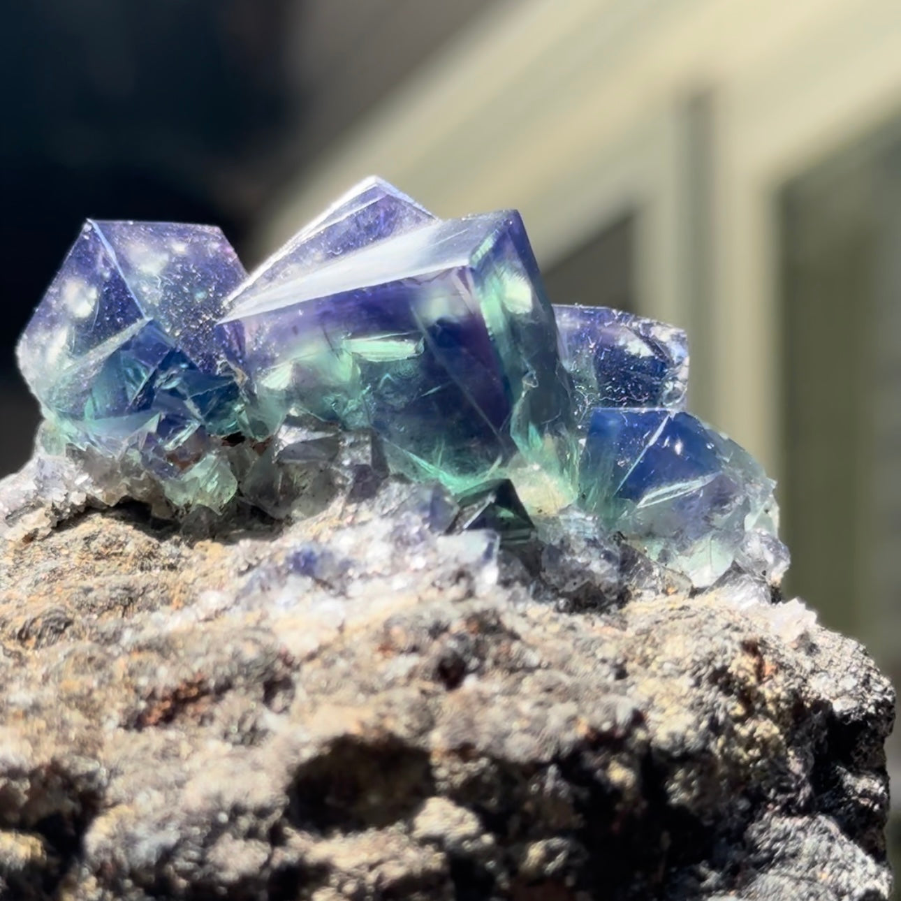 Rainbow’s End Pocket 🌈 Color Changing Fluorite from the Lady Annabella Mine, UK