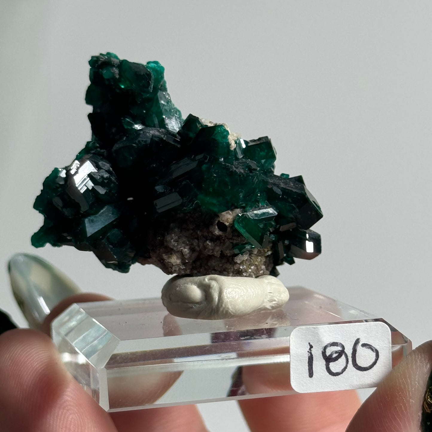 Dioptase Specimen from Mindouli, DRC: You Choose