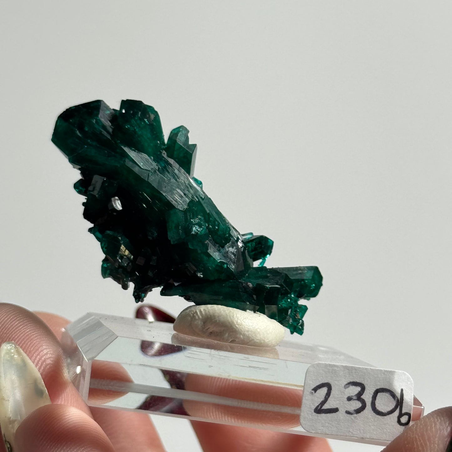 Dioptase Specimen from Mindouli, DRC: You Choose