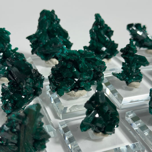 Dioptase Specimen from Mindouli, DRC: You Choose