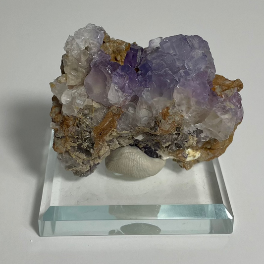 Purple Fluorite Specimen from Tule Mine, Mexico "B"