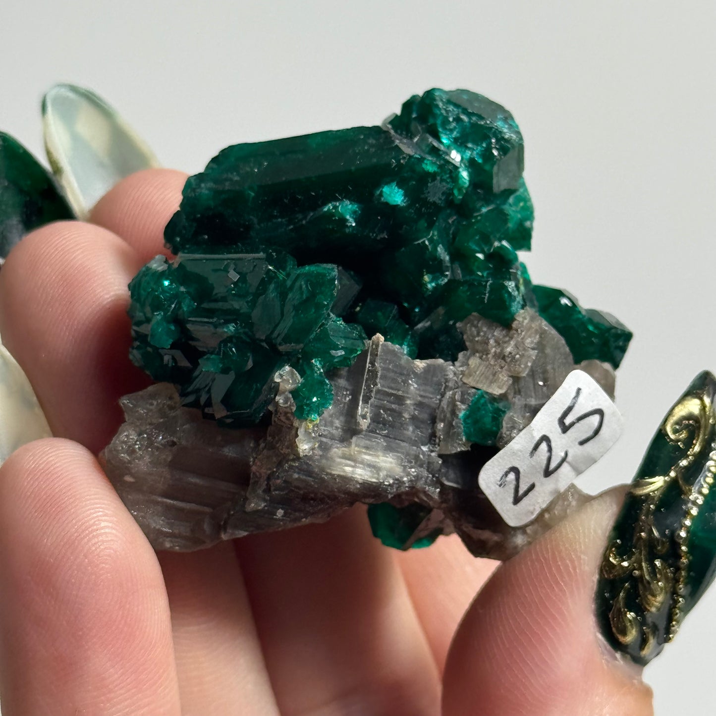 Dioptase Specimen from Mindouli, DRC: You Choose