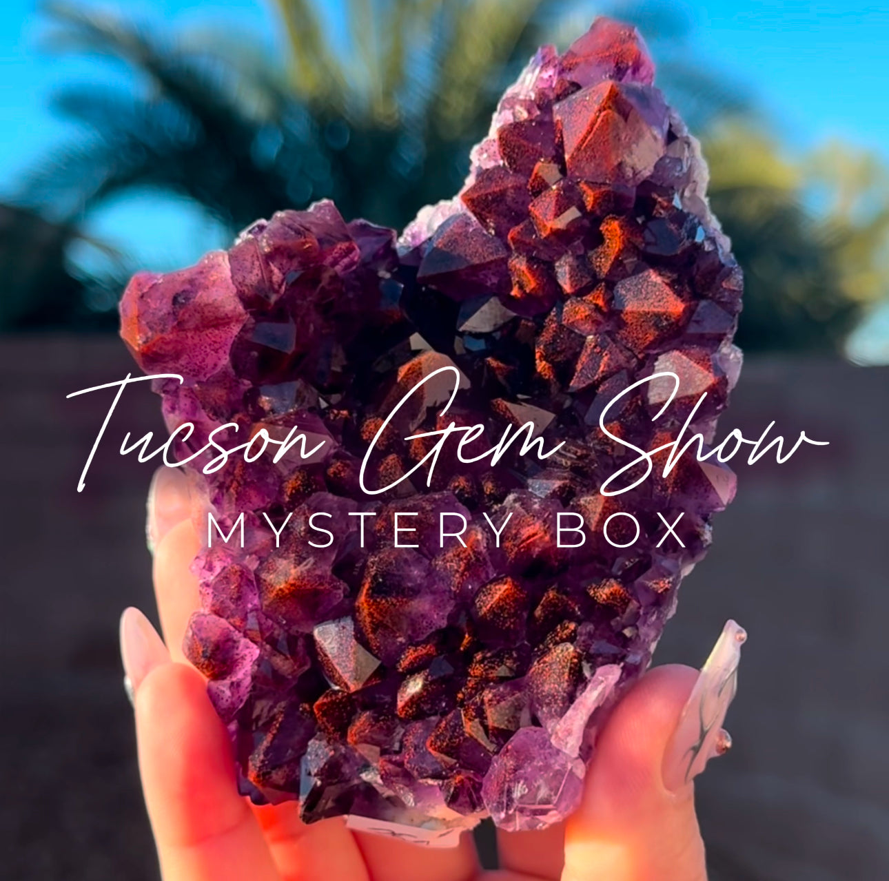 333 Tucson Gem Show Mystery Box