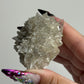 Calcite with Marcasite Inclusions Specimen from Linwood Mine, Iowa: You Choose