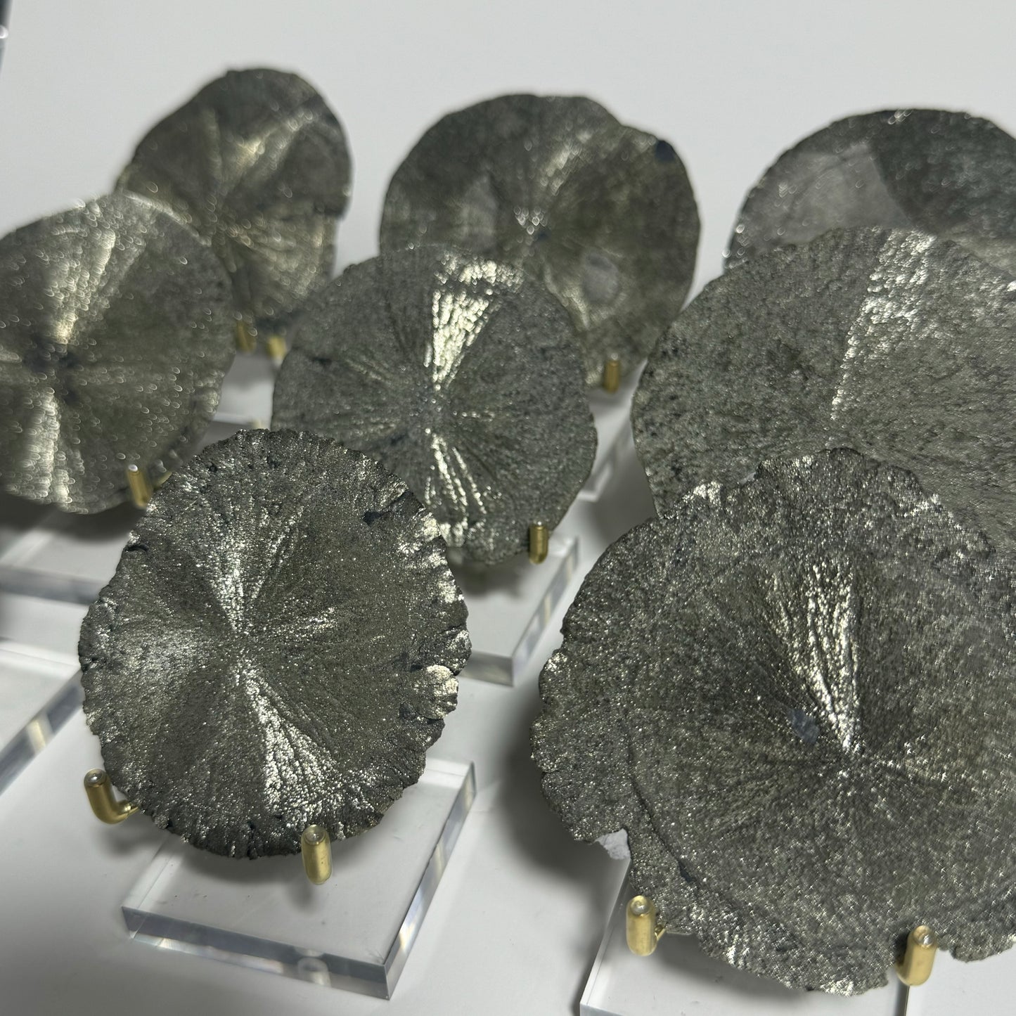 Pyrite Sun Specimen from Sparta, Illinois: You Choose