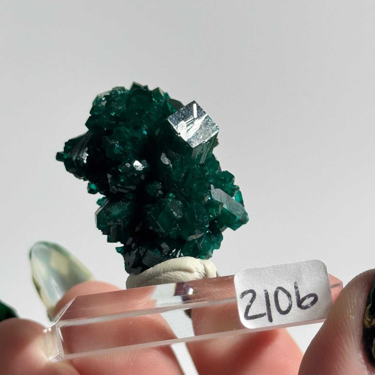 Dioptase Specimen from Mindouli, DRC: You Choose