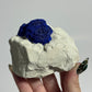 Azurite Sun Specimen from Malbunka Copper Mine, Areyonga, Australia: You Choose