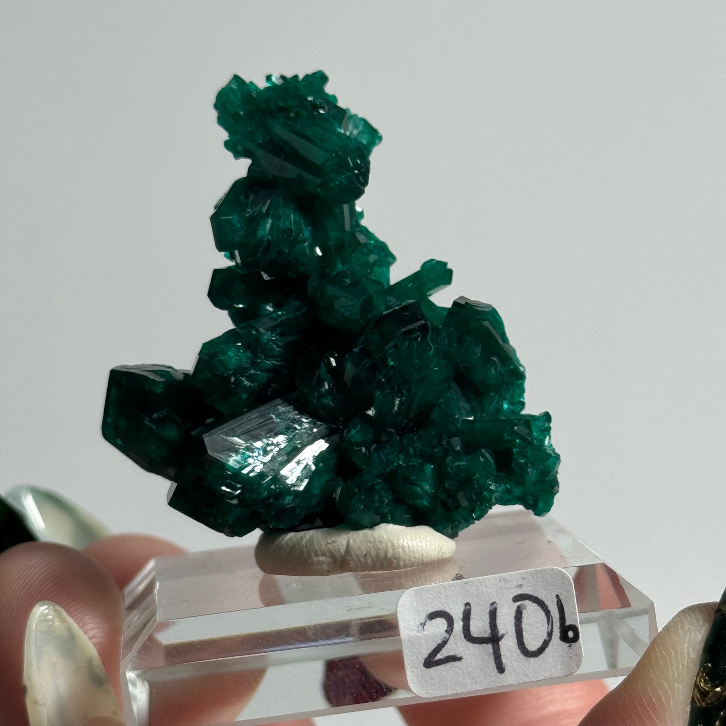 Dioptase Specimen from Mindouli, DRC: You Choose