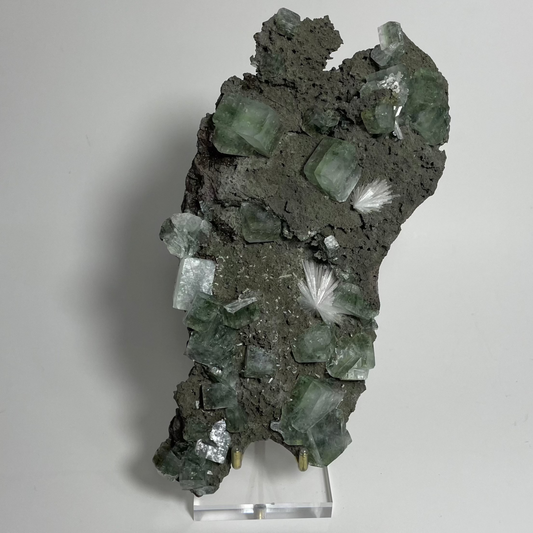 Garden Apophyllite Specimen from Ahmednagar, India "A"