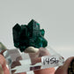 Dioptase Specimen from Mindouli, DRC: You Choose