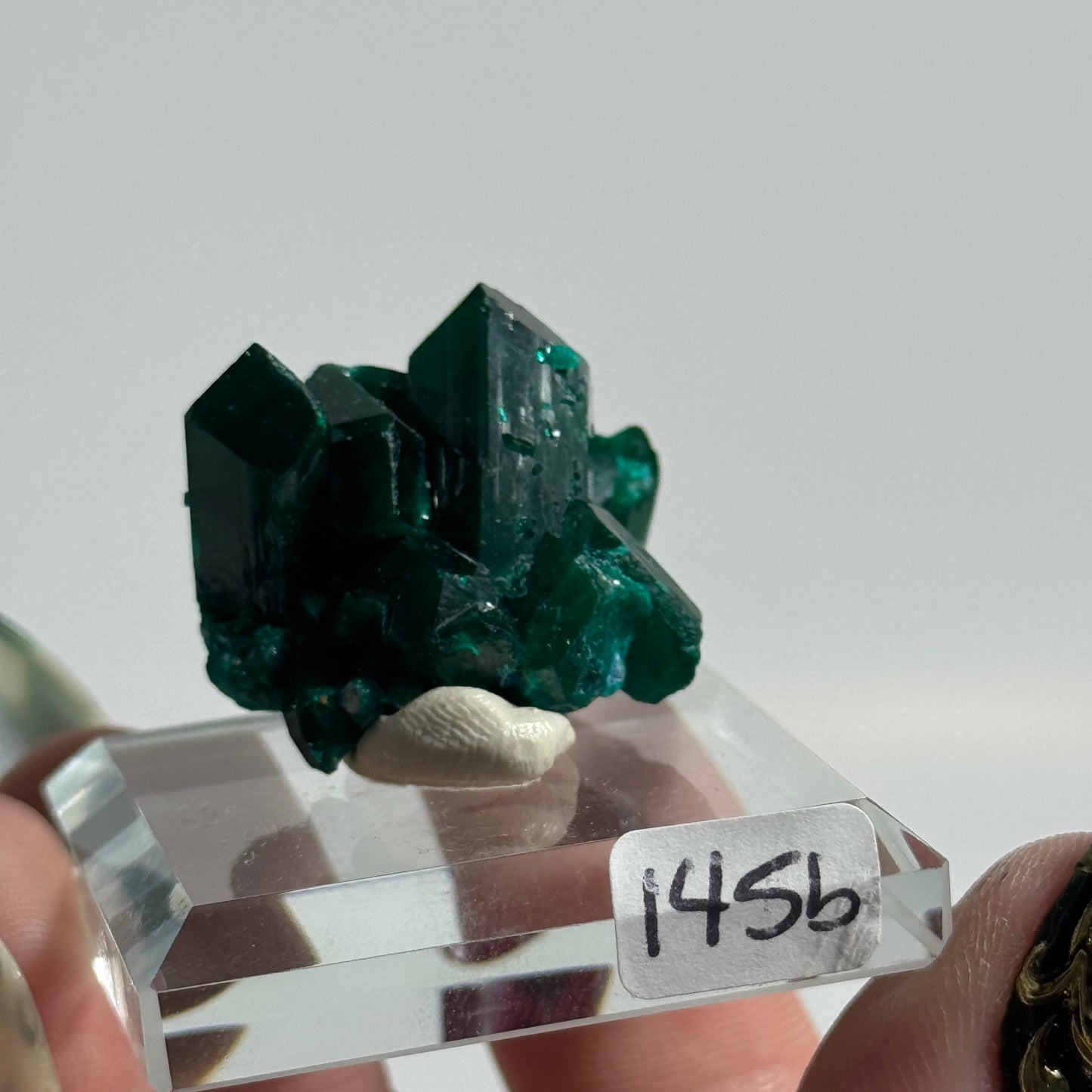 Dioptase Specimen from Mindouli, DRC: You Choose