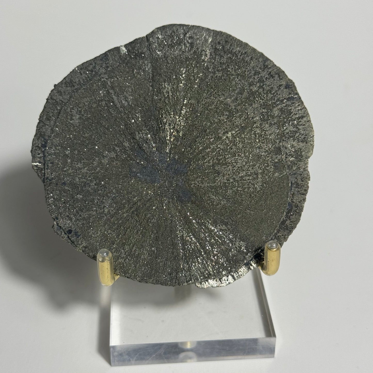 Pyrite Sun Specimen from Sparta, Illinois: You Choose