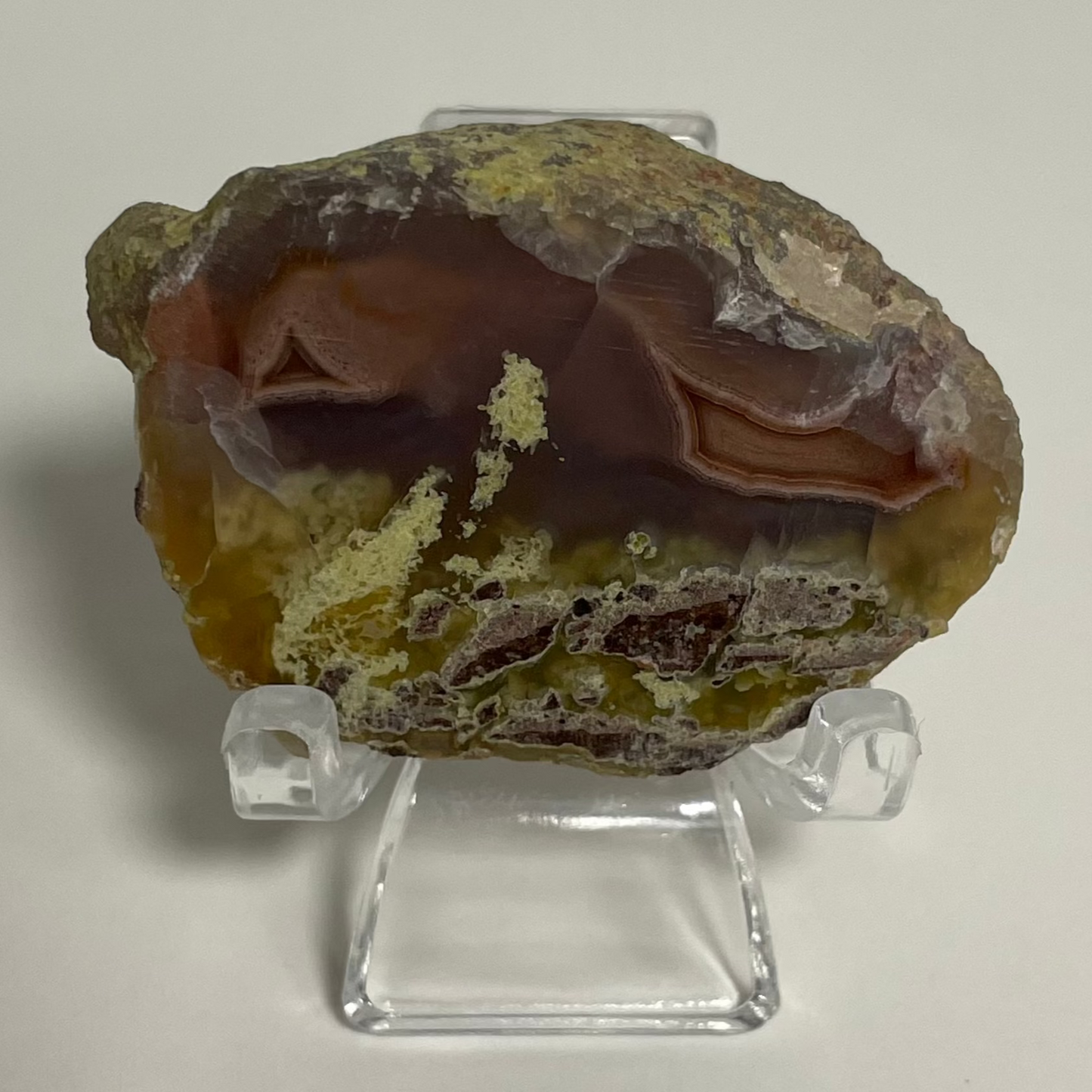 Laguna Agate Specimen from Mexico "F"