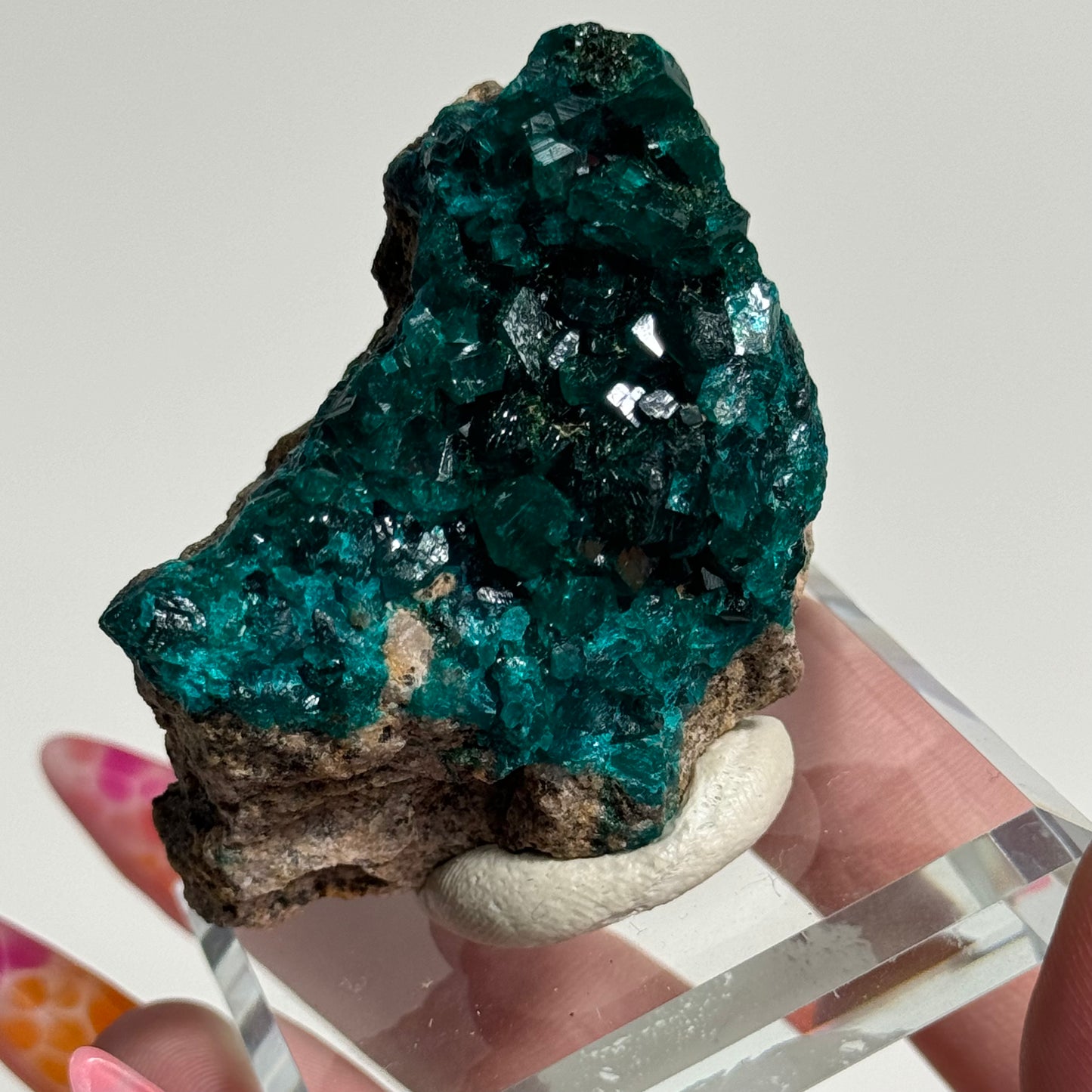 Dioptase Specimen from the Tantara Mine, DR Congo: You Choose