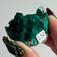 Dioptase Specimen from Mindouli, DRC: You Choose