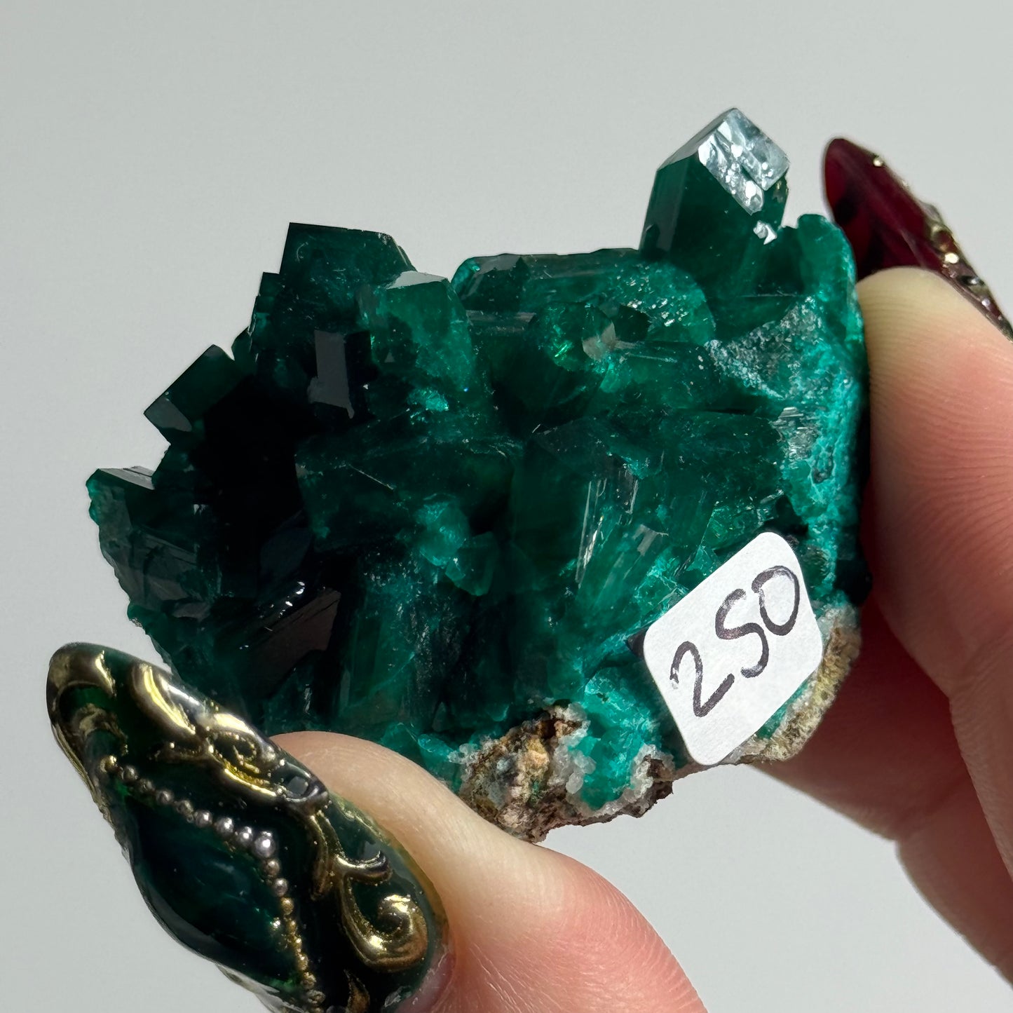 Dioptase Specimen from Mindouli, DRC: You Choose