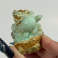 Chrysopal Sea Turtle Handmade Carving