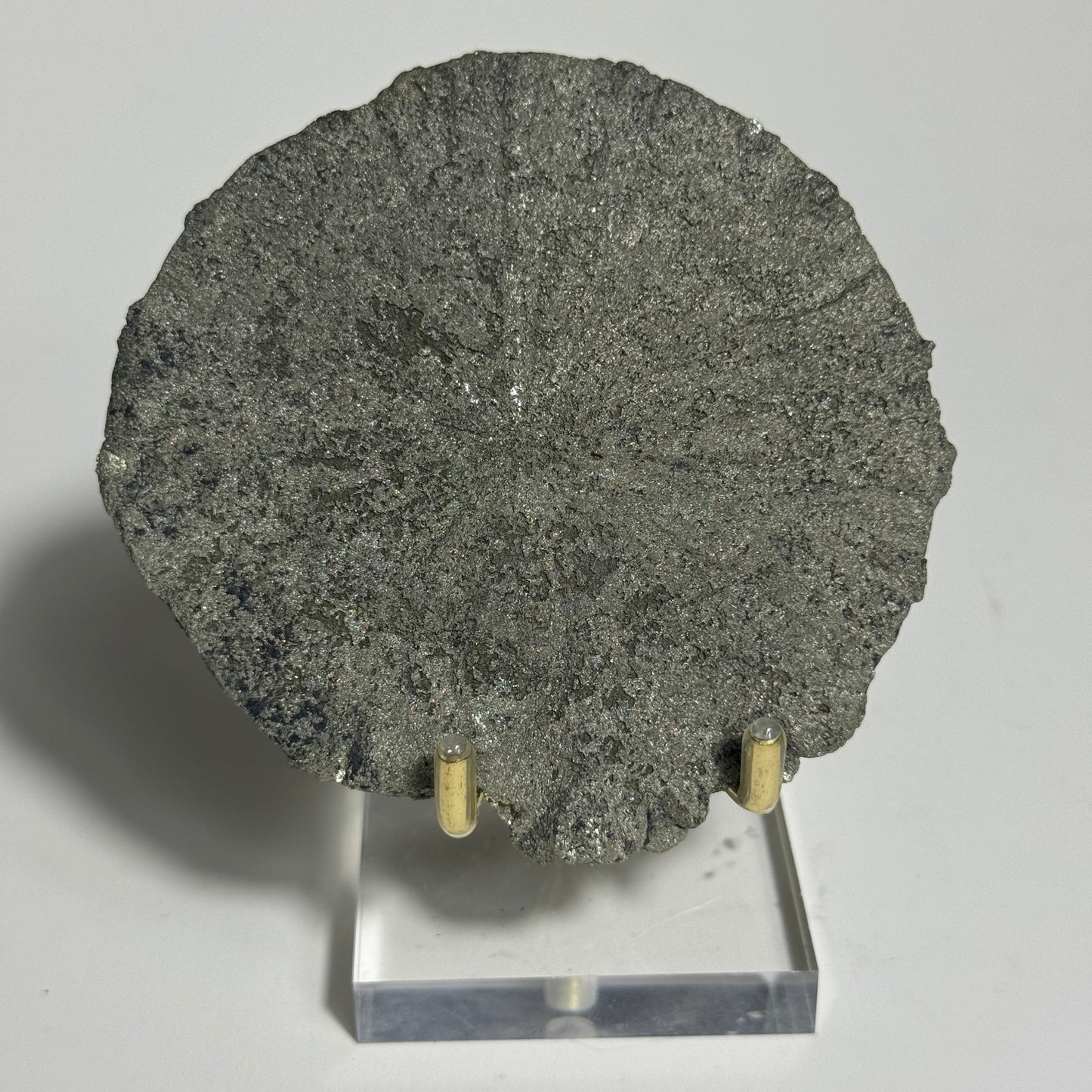 Pyrite Sun Specimen from Sparta, Illinois: You Choose