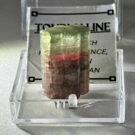 Watermelon Tourmaline Specimen from Dara-I-Pech, Afghanistan “F”