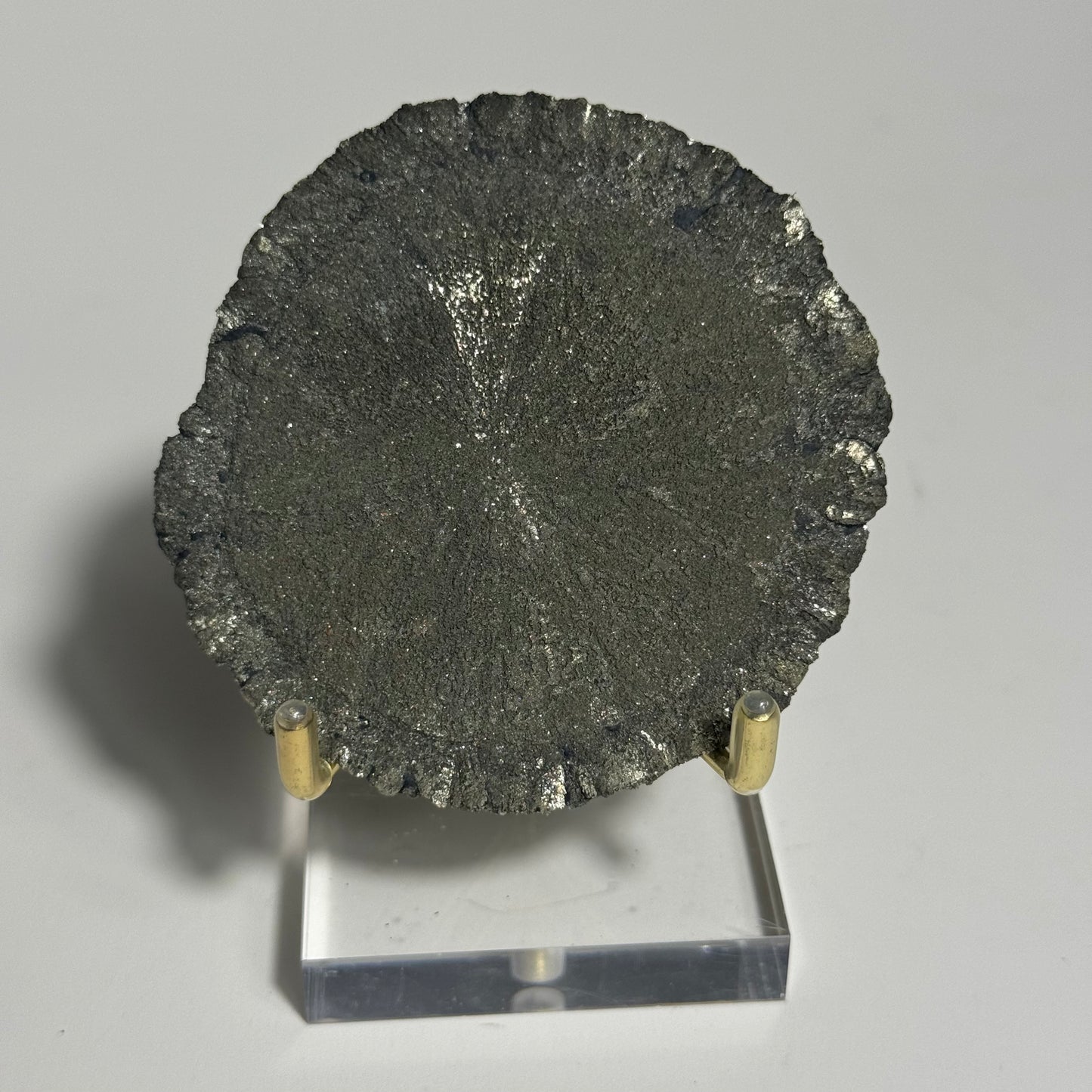 Pyrite Sun Specimen from Sparta, Illinois: You Choose