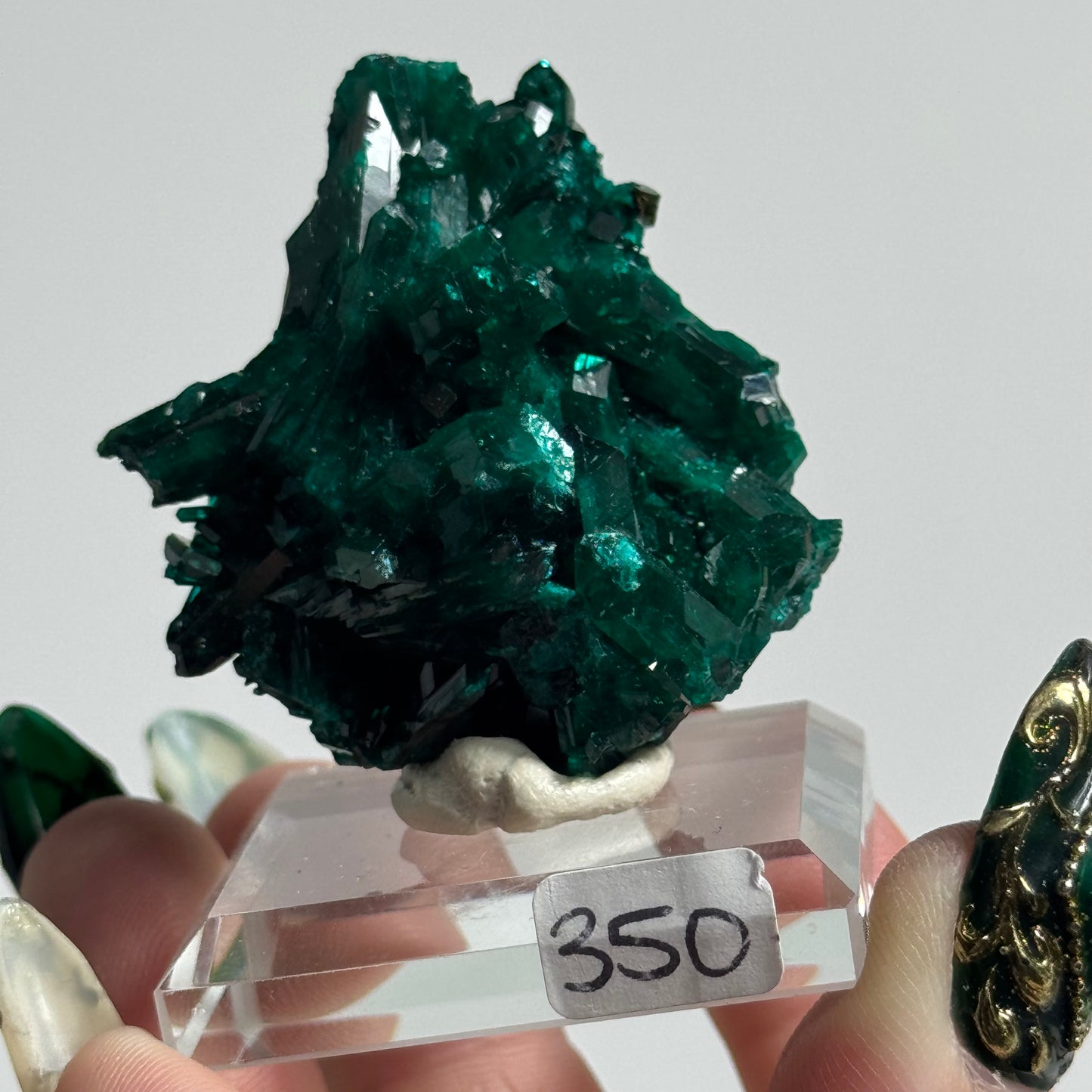 Dioptase Specimen from Mindouli, DRC: You Choose