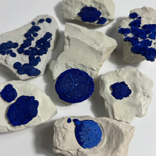 Azurite Sun Specimen from Malbunka Copper Mine, Areyonga, Australia: You Choose