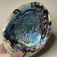 7-Inch Abalone Shell: Intuitive Pick