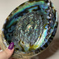 7-Inch Abalone Shell: Intuitive Pick