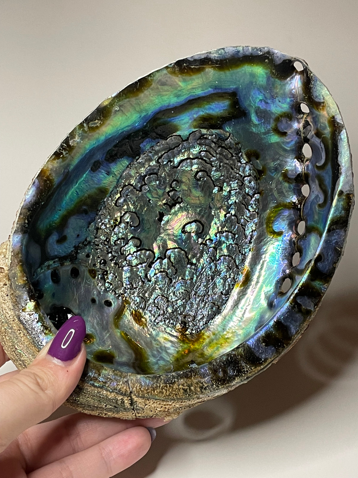7-Inch Abalone Shell: Intuitive Pick