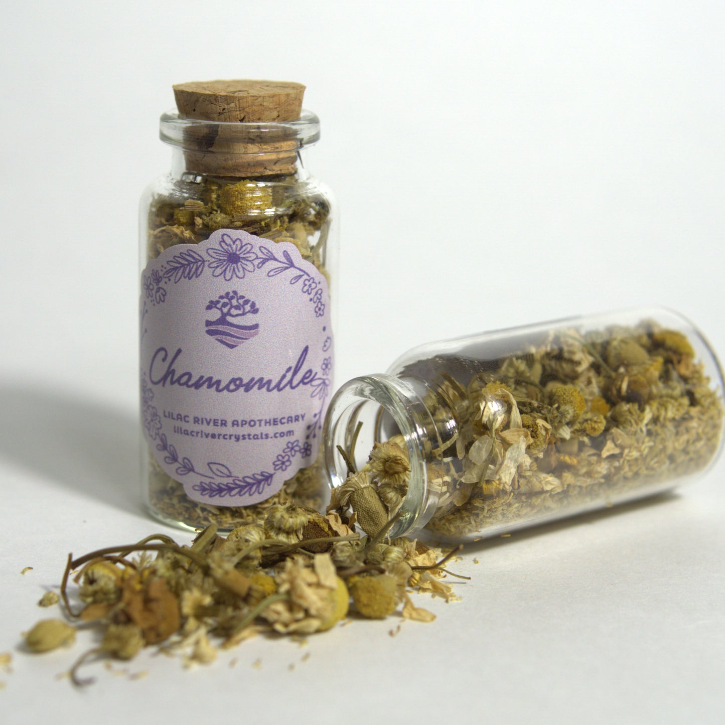 Chamomile (Egyptian)