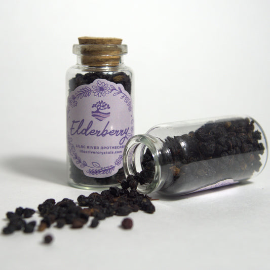 Elderberry