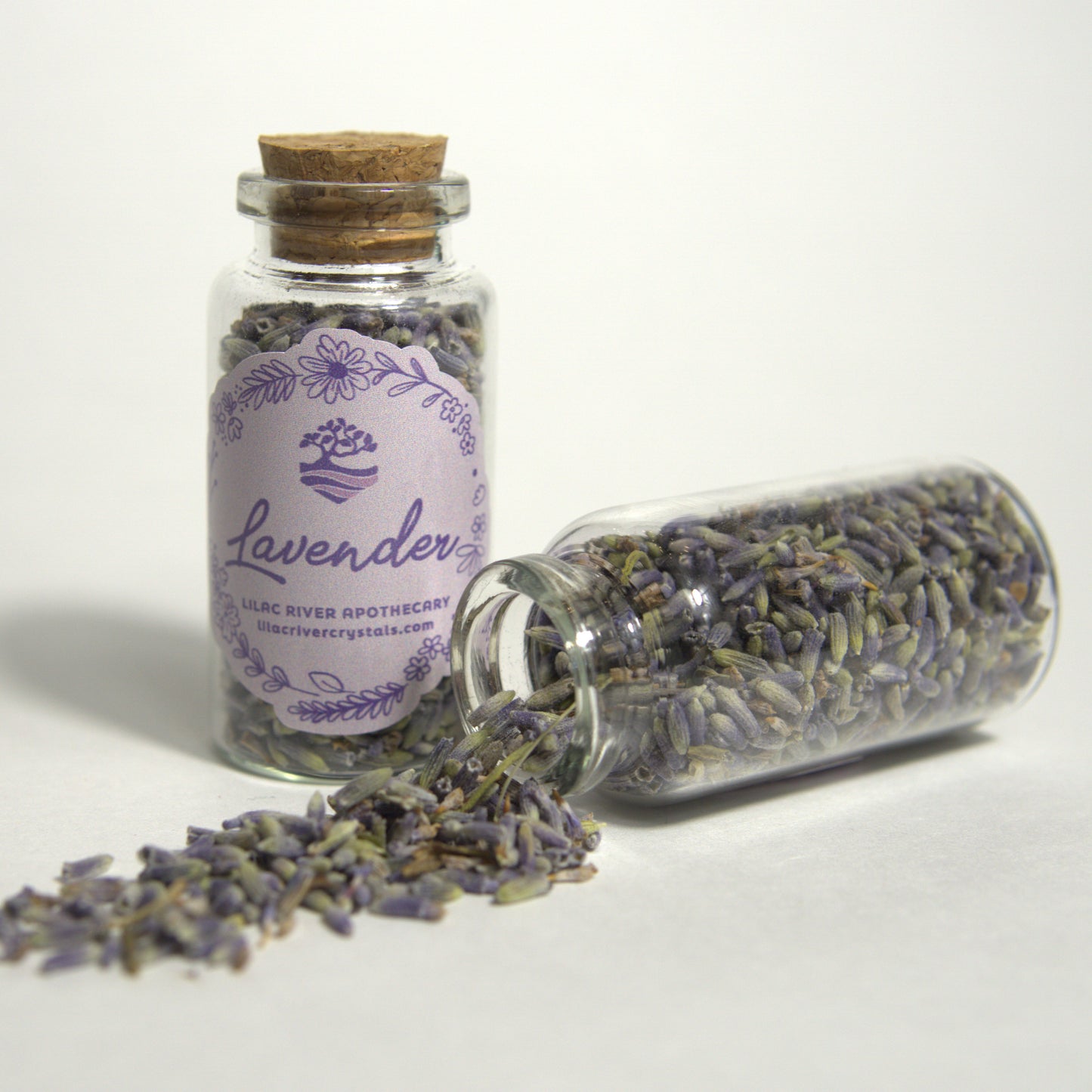 Lavender Flower