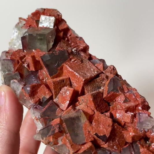 Fluorite and Hematite Specimen from Hameda Quarry, Morocco