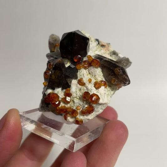 Smoky Quartz and Spessartine Specimen from Wushan Mine, China